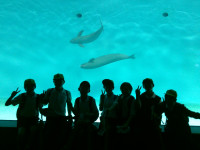 DSCF0155