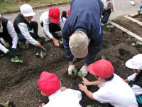 ホームページ１