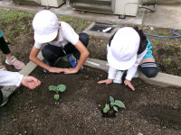 ホームページ２