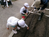 ホームページ３